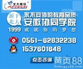淮南电脑网络工程与相关产品销售服务概览